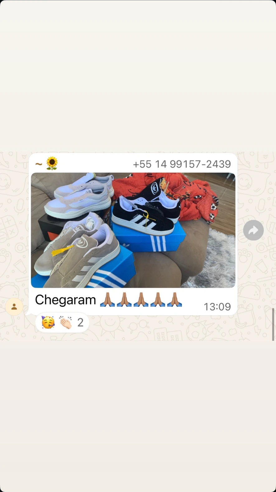 Cliente CACTOS 13